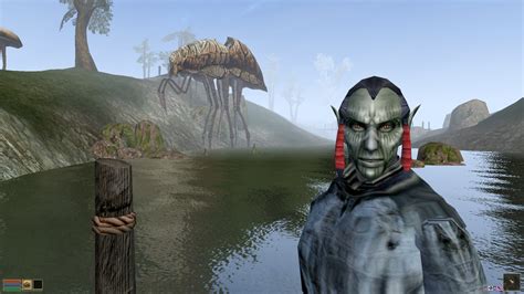 best morrowind mods.